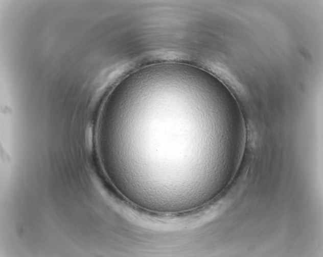 X0000090950014200708091336