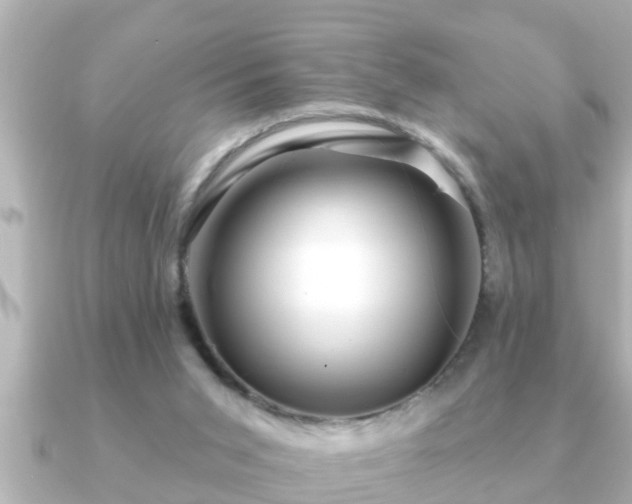X0000090950015200708091336