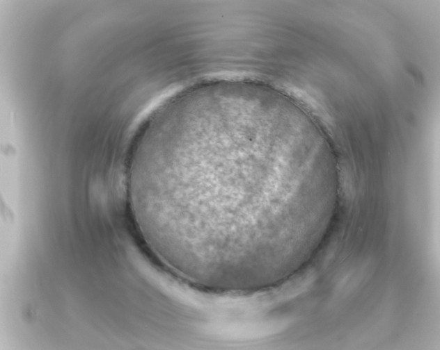 X0000090950016200708091336