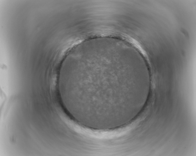 X0000090950018200708091336