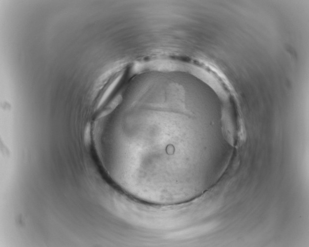 X0000090950019200708091336