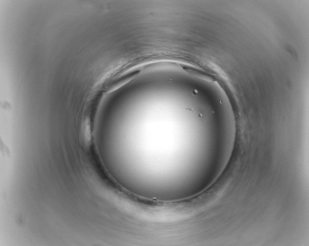 X0000090950020200708091336