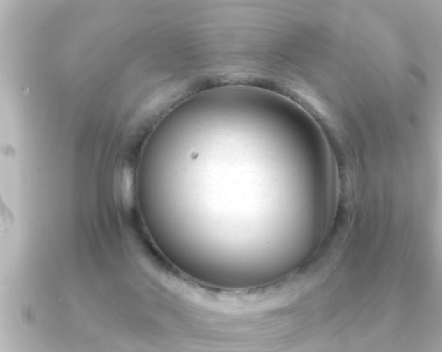X0000090950022200708091336