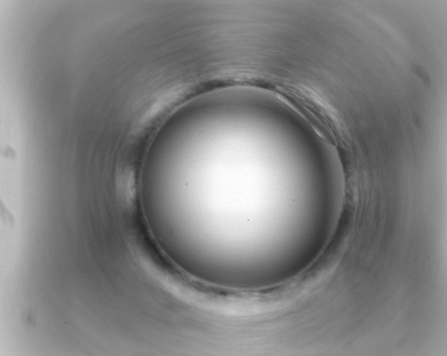 X0000090950024200708091336