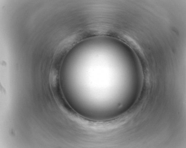 X0000090950026200708091336