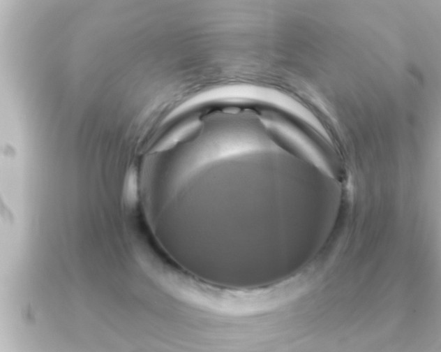 X0000090950027200708091336