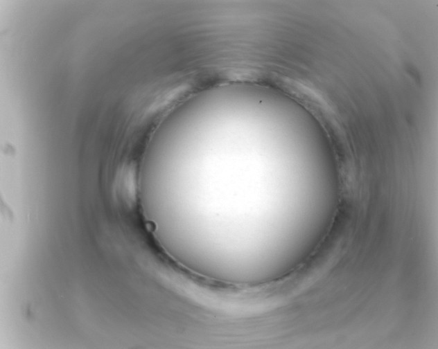 X0000090950028200708091336
