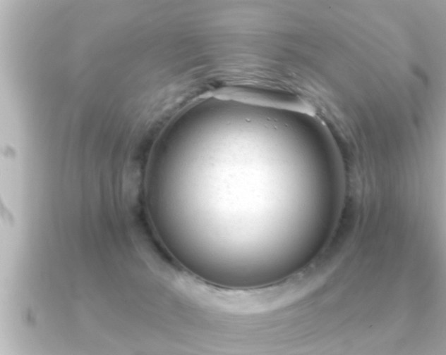X0000090950030200708091336