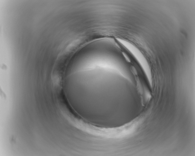 X0000090950031200708091336