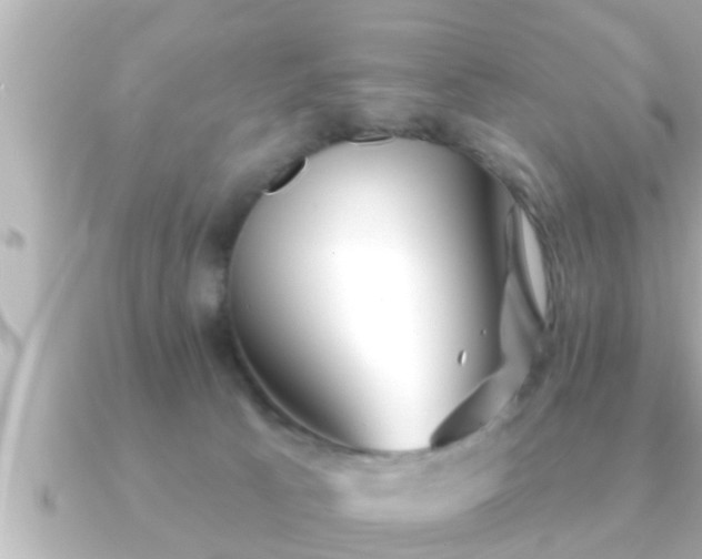 X0000090950033200708091336