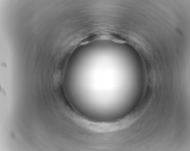 X0000090950034200708091336