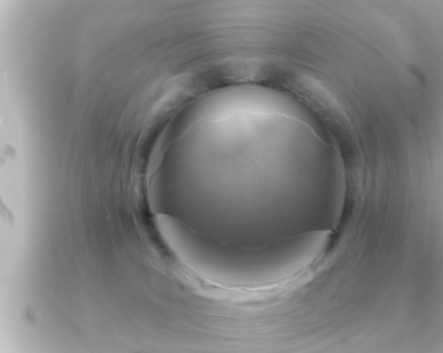 X0000090950035200708091336