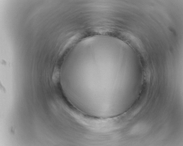 X0000090950036200708091336