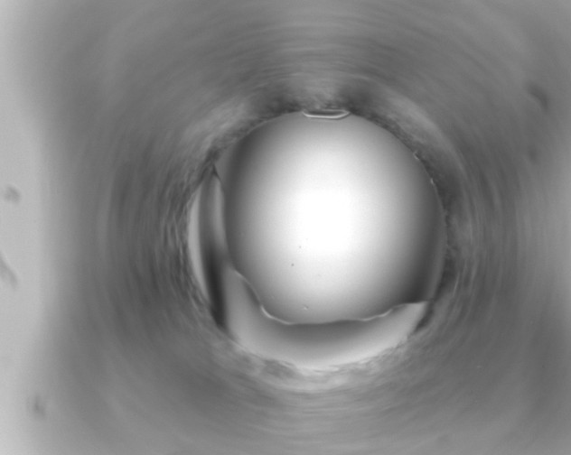 X0000090950037200708091336