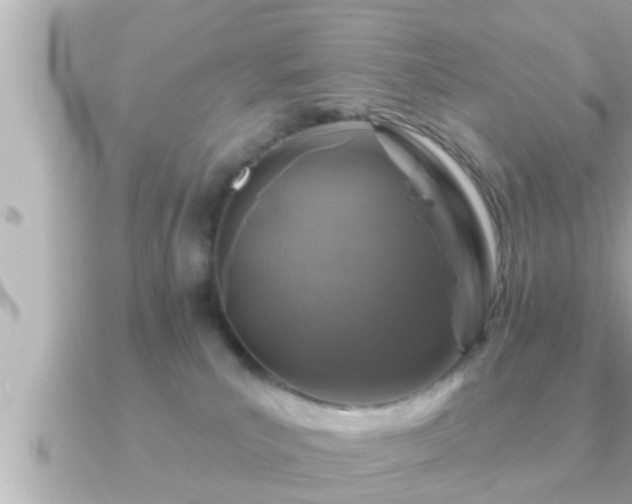 X0000090950039200708091336