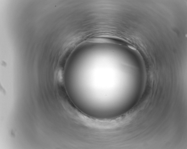 X0000090950042200708091336