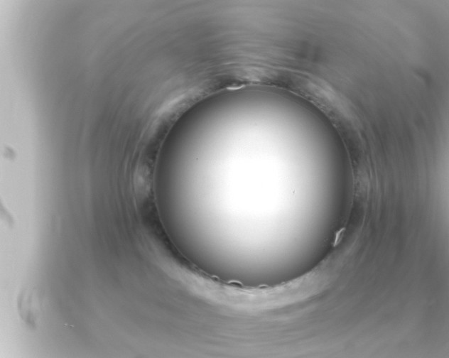 X0000090950043200708091336