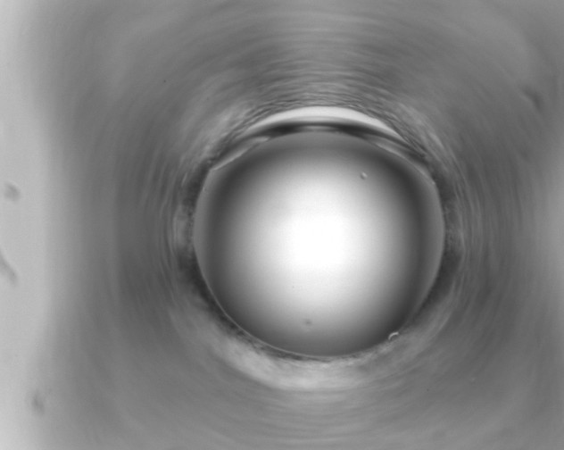 X0000090950044200708091336