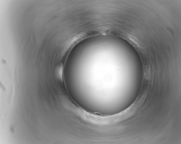 X0000090950047200708091336