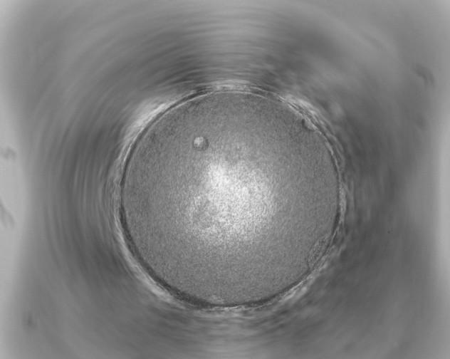X0000090950049200708091335