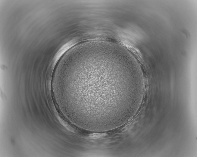 X0000090950051200708091335