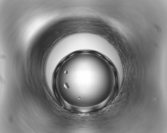 X0000090950052200708091335