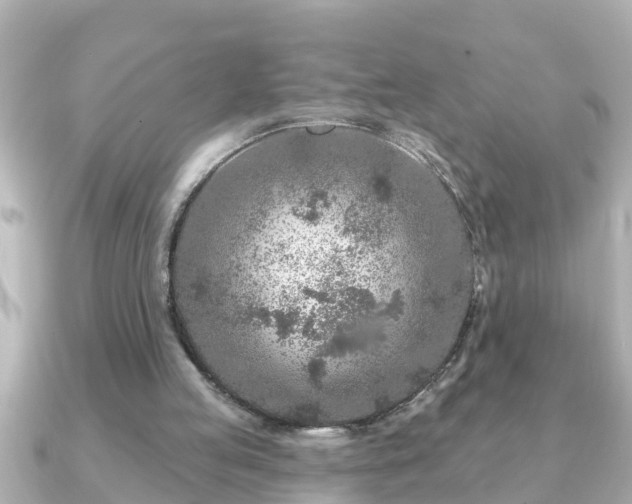 X0000090950053200708091335