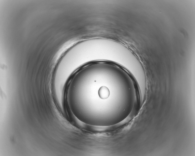 X0000090950054200708091335