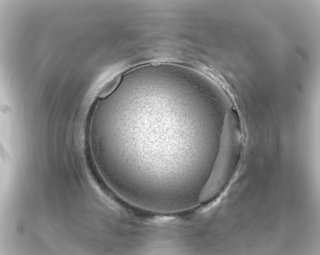 X0000090950055200708091335
