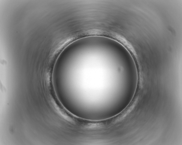 X0000090950057200708091335