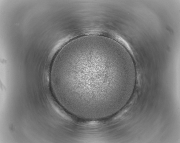 X0000090950059200708091335