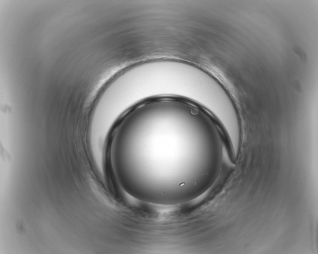 X0000090950060200708091335