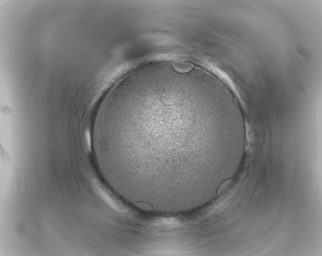X0000090950061200708091335