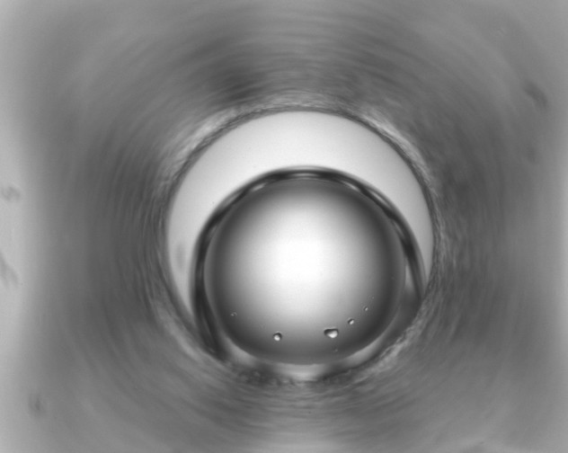 X0000090950062200708091335