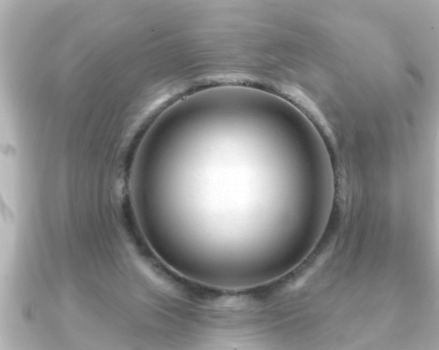 X0000090950063200708091335