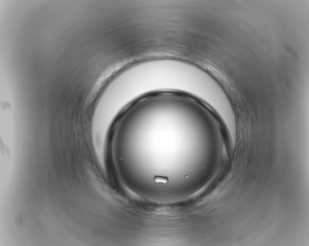 X0000090950064200708091335