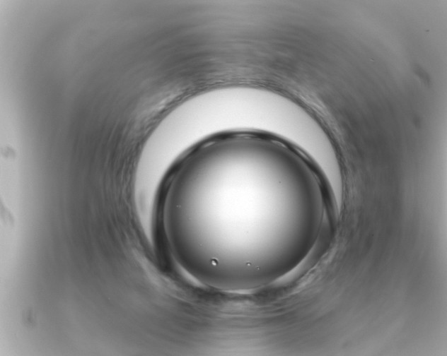X0000090950066200708091335