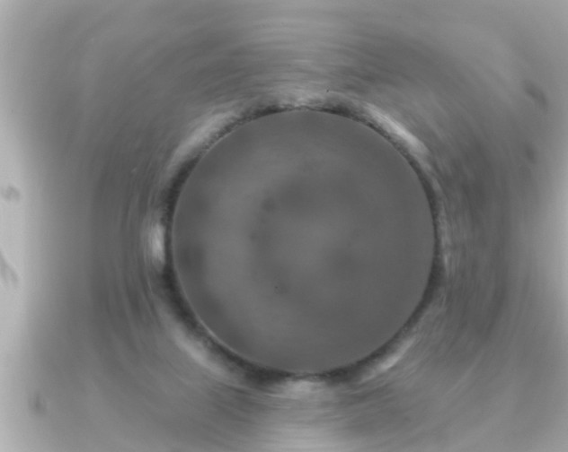 X0000090950067200708091335
