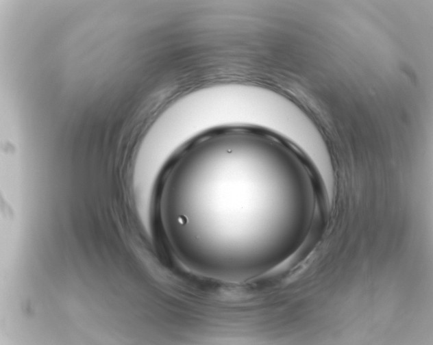 X0000090950070200708091335