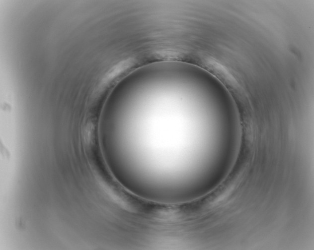 X0000090950071200708091335