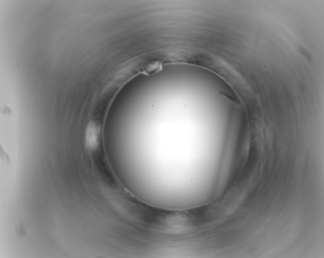 X0000090950075200708091336