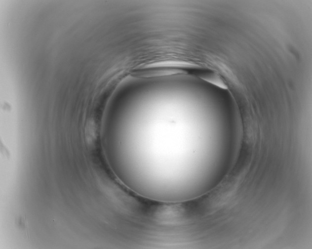 X0000090950077200708091336