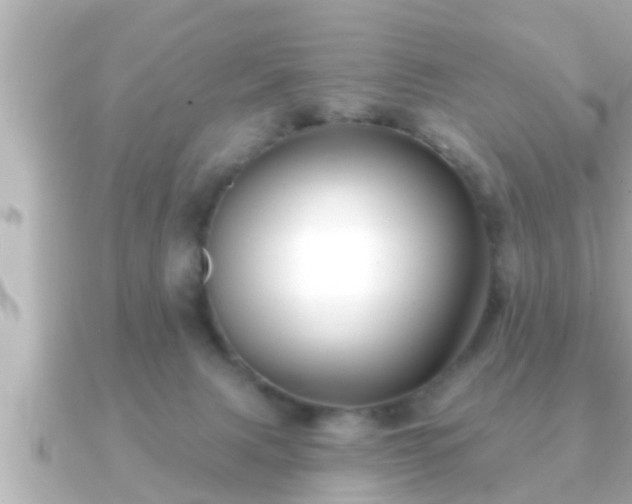 X0000090950079200708091336