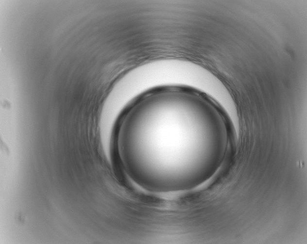 X0000090950080200708091336