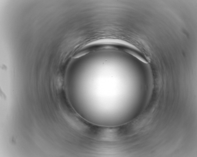 X0000090950081200708091336