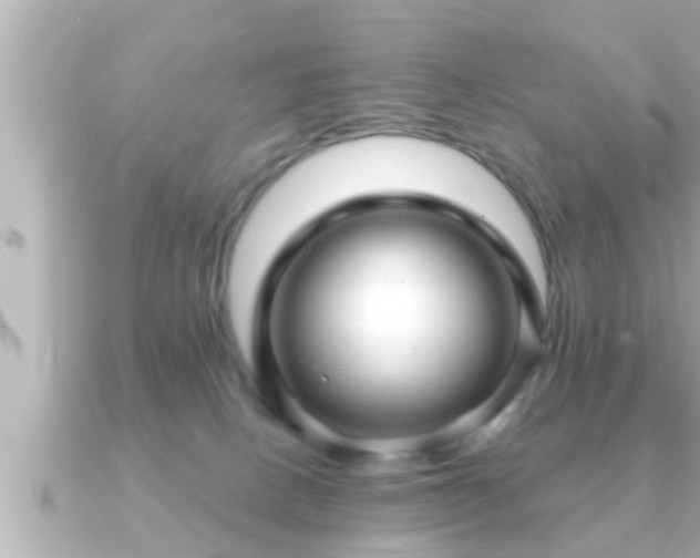 X0000090950082200708091336