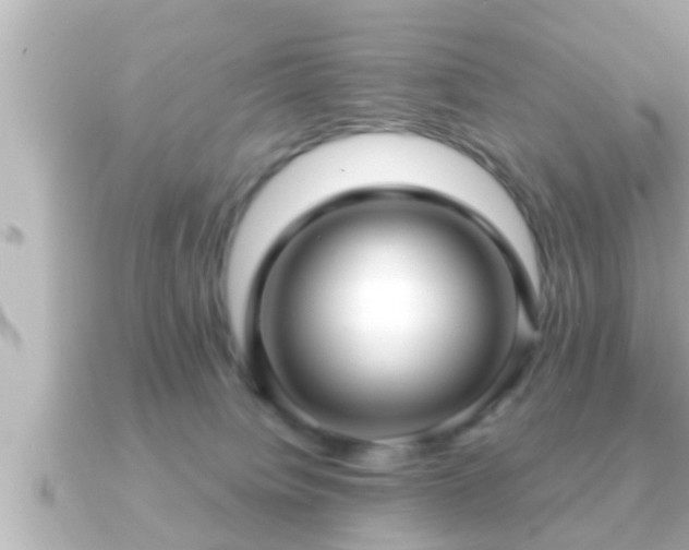 X0000090950084200708091336