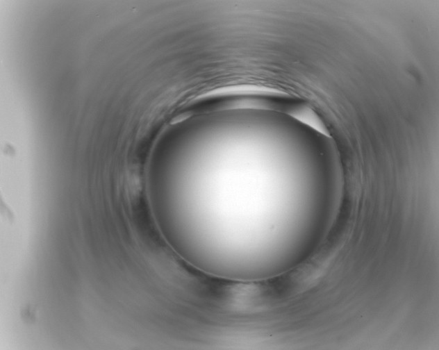 X0000090950085200708091336