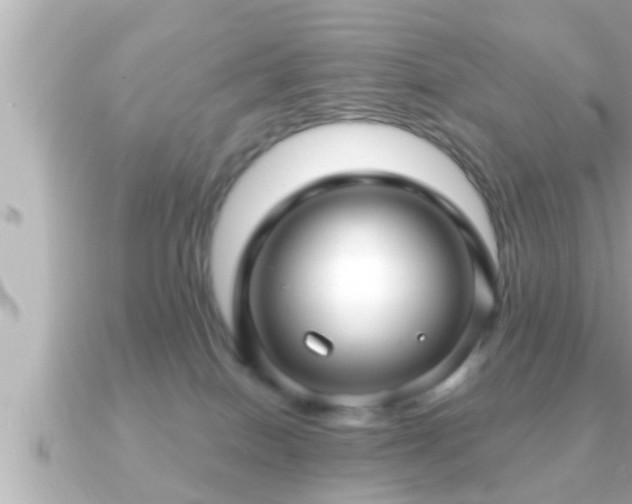 X0000090950086200708091336