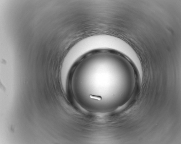 X0000090950088200708091336